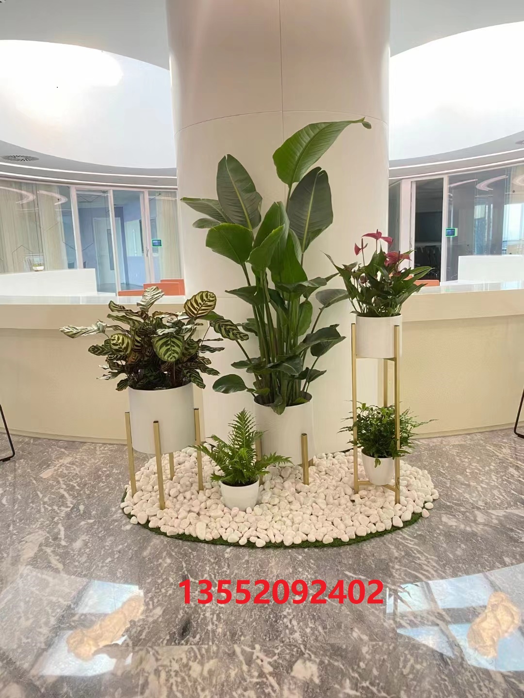?綠植租賃公司哪家好？如何選擇綠植租賃公司？