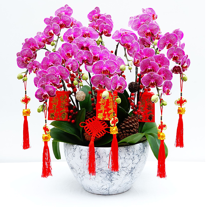 北京花卉租擺公司北京花卉銷(xiāo)售公司